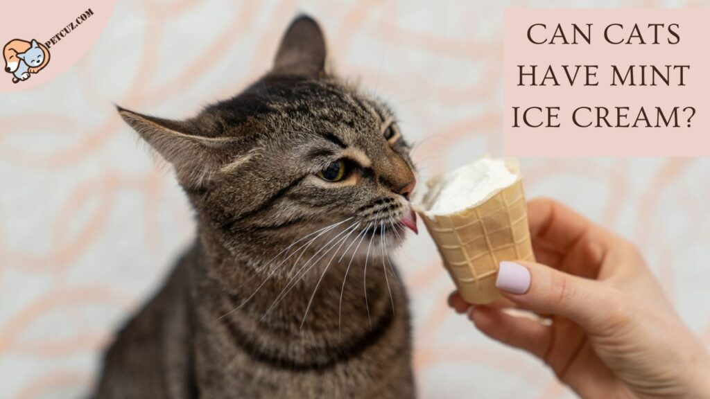 Can Cats Have Mint Ice Cream