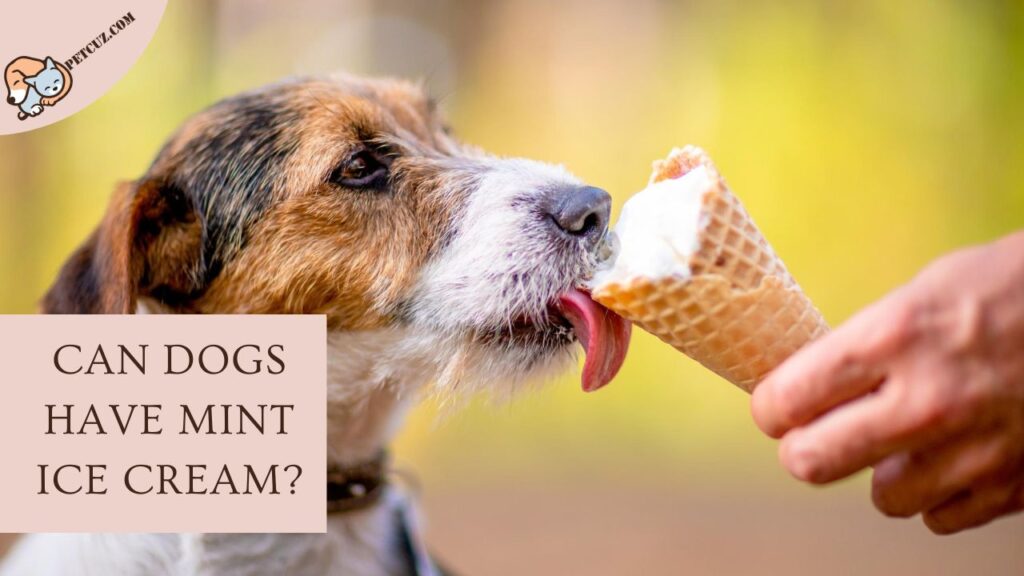 Can Dogs Have Mint Ice Cream