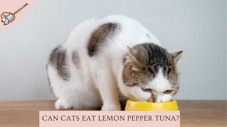 Can cats eat lemon pepper tuna