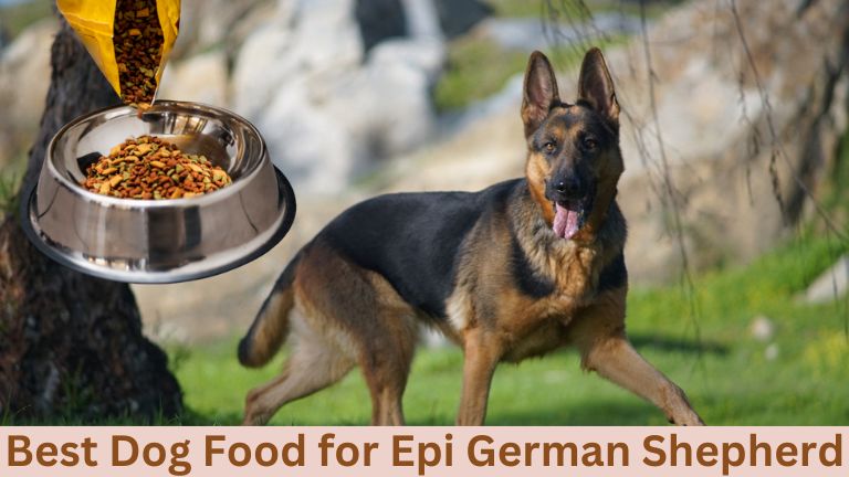 Best Dog Food For EPI German Shepherd [10 Reviews] 2024